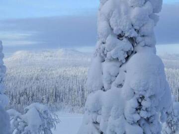 Фото номера Дом для отпуска Дома для отпуска Holiday Home RukajÃ¤rven kelopirtit hilla г. Aikkila 6