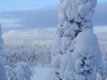 Фото номера Дом для отпуска Дома для отпуска Holiday Home RukajÃ¤rven kelopirtit hilla г. Aikkila 20
